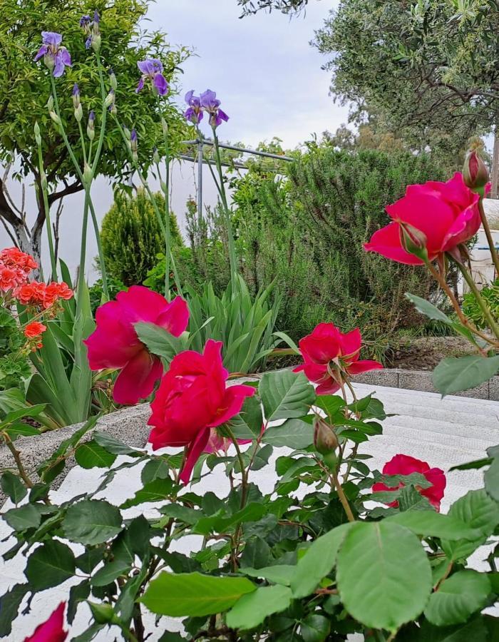 Arhondia House Villa Ierapetra  Exterior photo